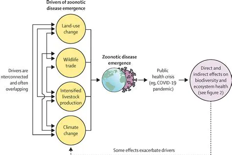 Understanding the Complexity of Pandemic Spread