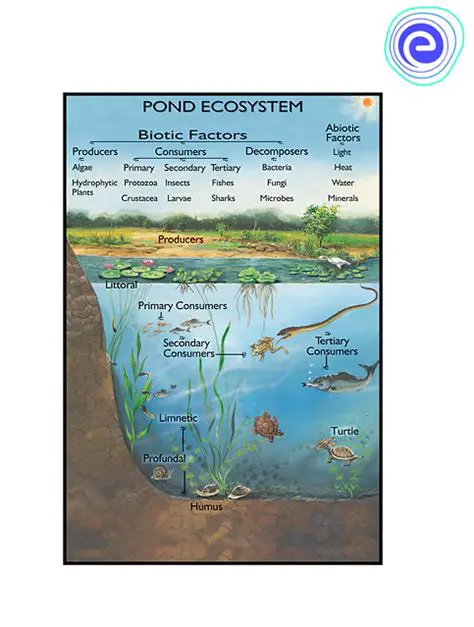 Understanding the Complexity of Pond Ecosystems
