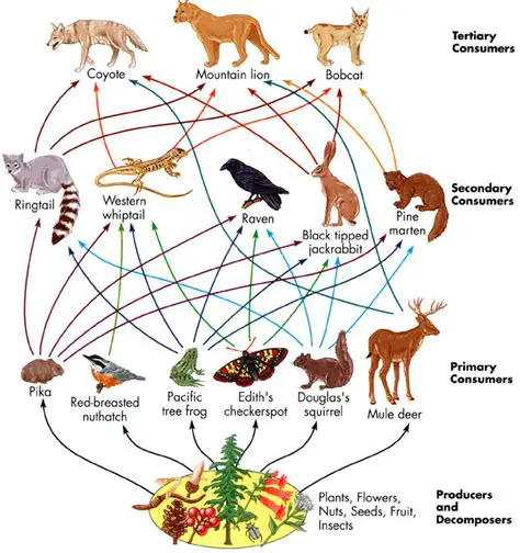 Understanding the Complexity of Temperate Forest Biodiversity