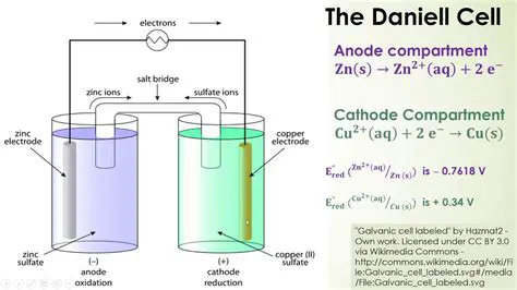 Understanding the Components of a Galvanic Cell