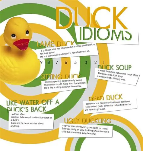 Understanding the Concept of a Lame Duck