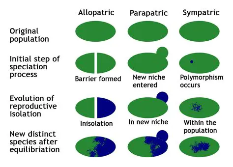 Understanding the Concept of Adaptation and Speciation