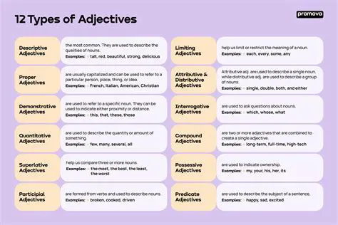 Understanding the Concept of Adjectives and Shapes