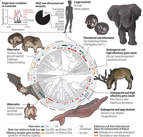 Understanding the Concept of Relatives in Biology