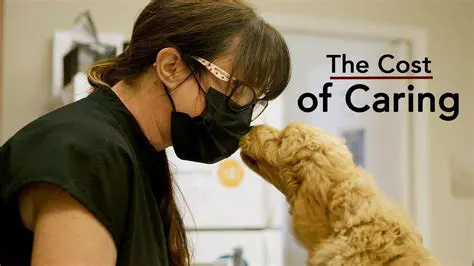 Understanding the Cost of Caring for a Single Dog