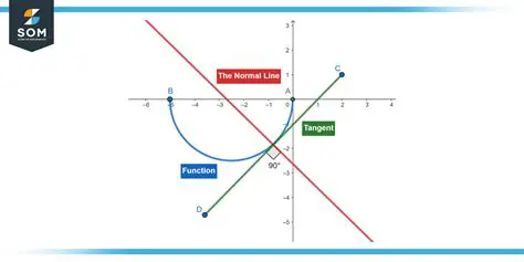 Understanding the Curve and the Normal Line