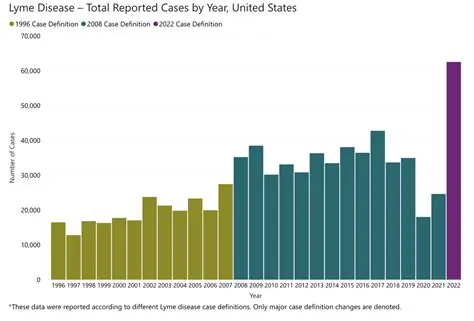 Understanding the dcases Environment