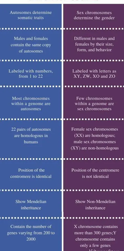 Understanding the Distinction Between Head Hair and Body Hair