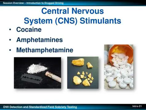 Understanding the Effects of Stimulants on the Central Nervous System