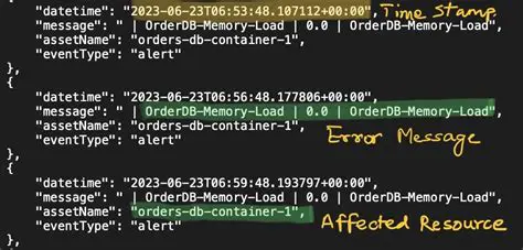 Understanding the Error Logs