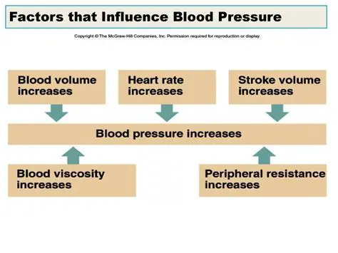 Understanding the Factors that Influence Blood Pressure