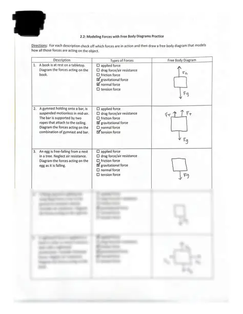 Understanding the Forces Acting on the Bear