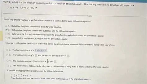 Understanding the Function and the Problem