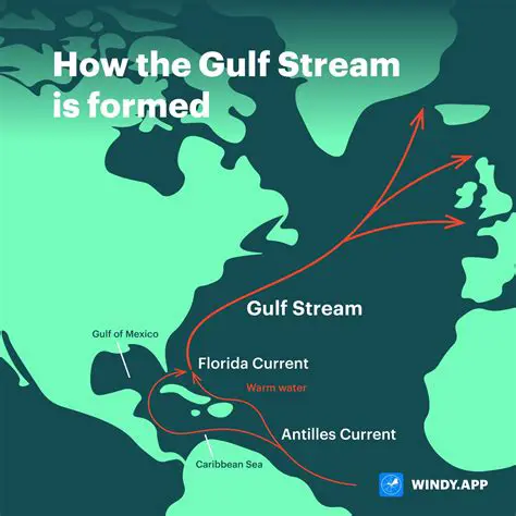 Understanding the Gulf Stream