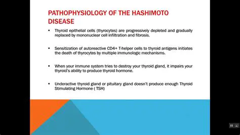 Understanding the Hashimoto Light Algorithm