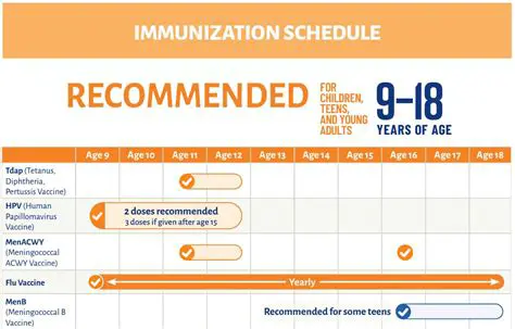 Understanding the Immunization Schedule