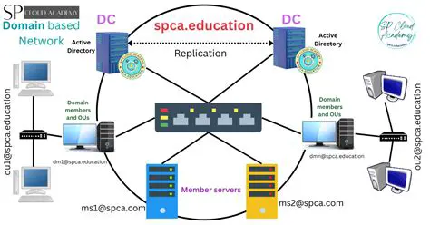 Understanding the Impact of Domain Name Modification