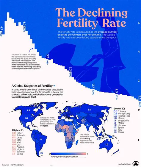 Understanding the Impact of Fertility on the Economy