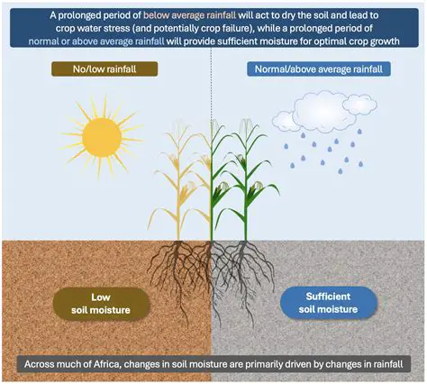 Understanding the Impact of Moisture on Visibility