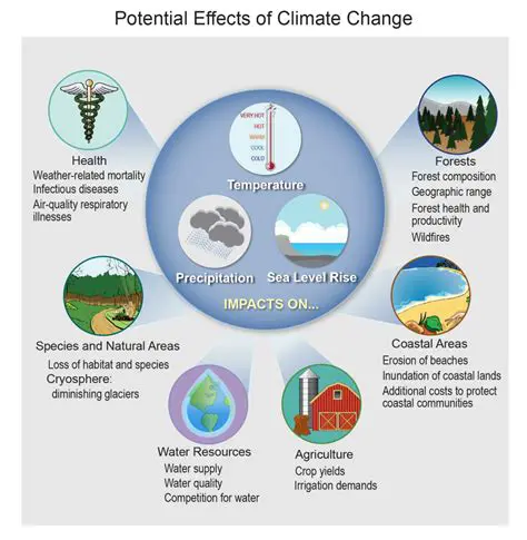 Understanding the Impact of Weather on Our World