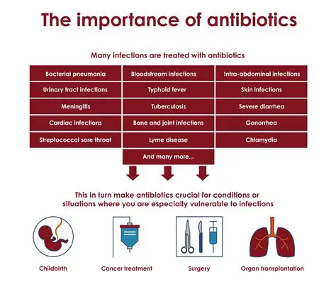 Understanding the Importance of Antibiotics