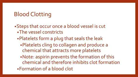 Understanding the Importance of Blood Clotting