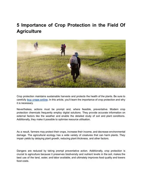 Understanding the Importance of Crop Protection