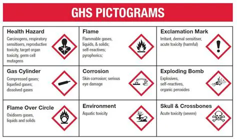 Understanding the Importance of GHS Pictograms