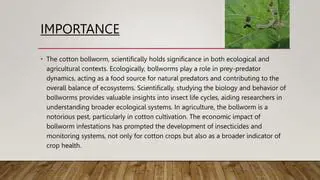 Understanding the Importance of Natural Predators in Agriculture