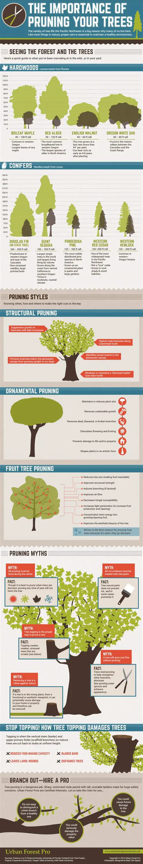Understanding the Importance of Pruning Times