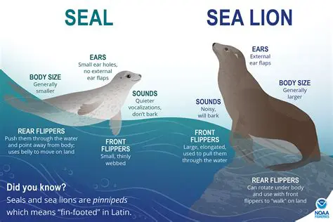 Understanding the Importance of Seals in Secure Environments
