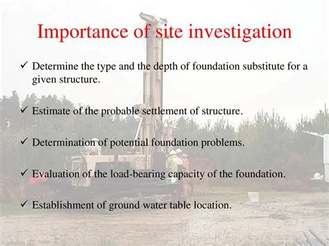 Understanding the Importance of Site Words