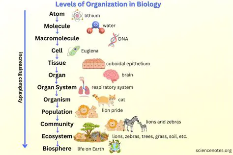 Understanding the Levels of Biological Organization
