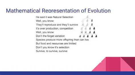 Understanding the Mathematical Representation