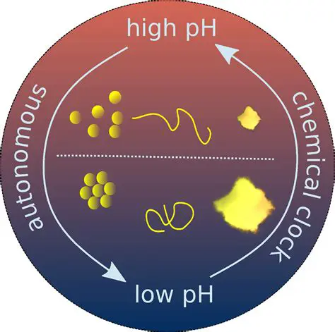 Understanding the Mechanism of a Complex Chemical Reaction
