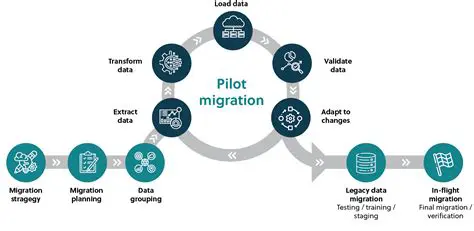 Understanding the Migration Process