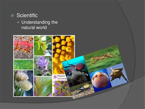 Understanding the Natural World