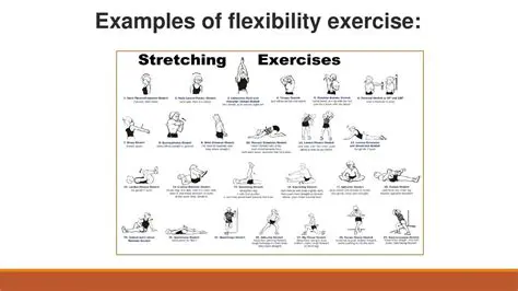 Understanding the Need for Flexibility