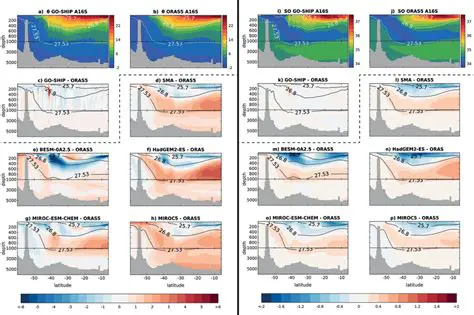Understanding the ORAS5 Data