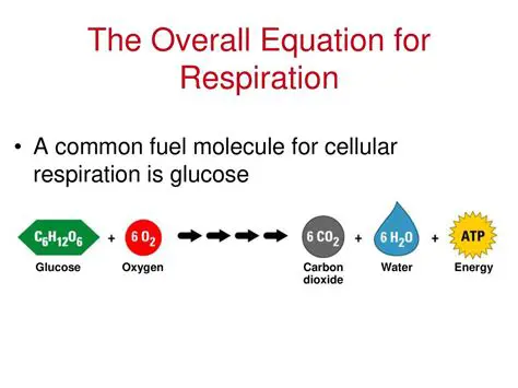 Understanding the Overall Equation