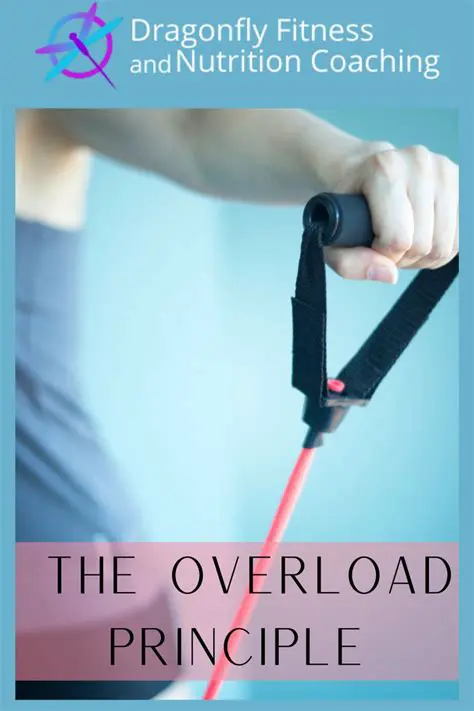 Understanding the Overload Principle