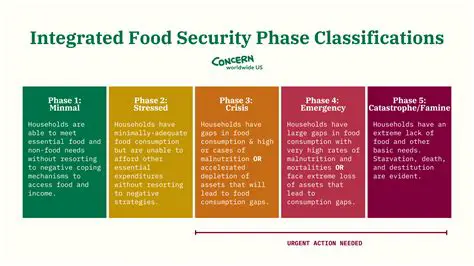 Understanding the Phases of Food Safety Control