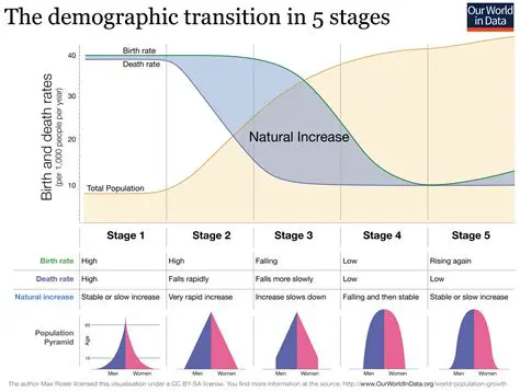 Understanding the Population Model