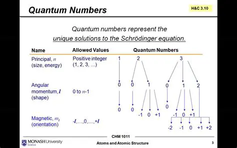 Understanding the Quantum Numbers