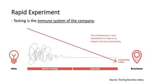 Understanding the Rapid Experiment Process
