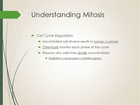 Understanding the Regulation of Mitosis