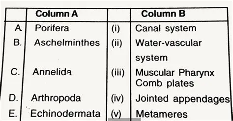 Understanding the Relationship Between Concepts in Column A and Column B