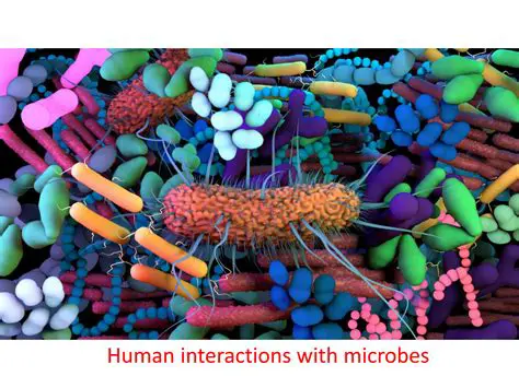 Understanding the Relationship Between Microbes and Disease
