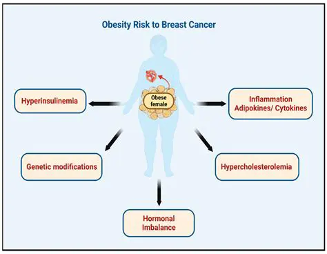 Understanding the Relationship Between Obesity and Cancer