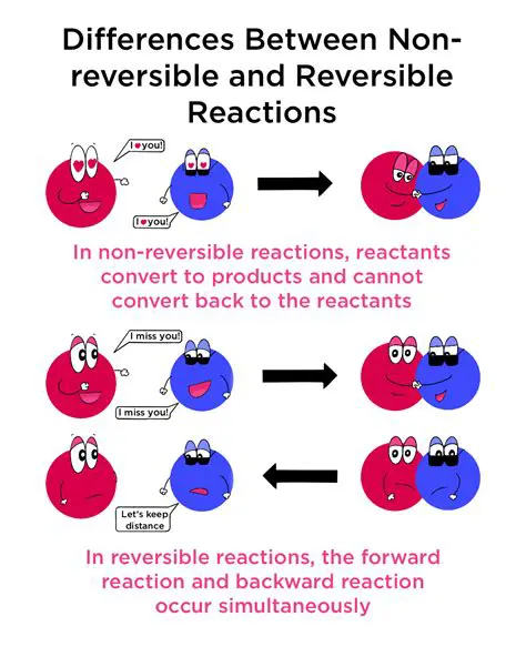 Understanding the Reversible Reaction